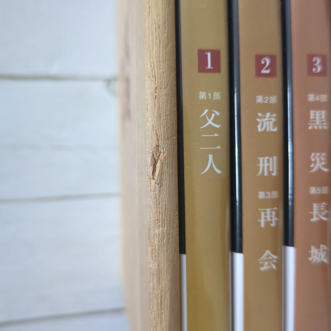 大地の子 全集 DVD 6巻セット