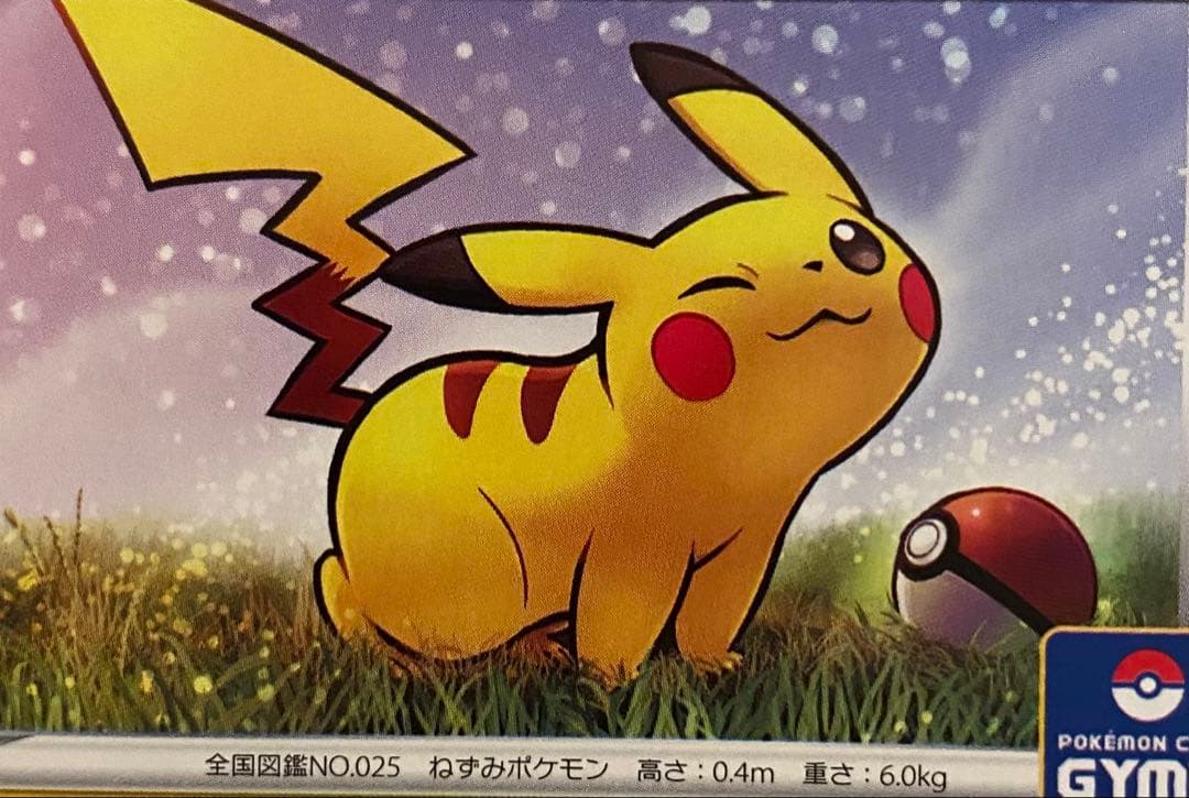 ピカチュウ 024/S-P プロモカードパック第1弾 2019 ジムプロモ