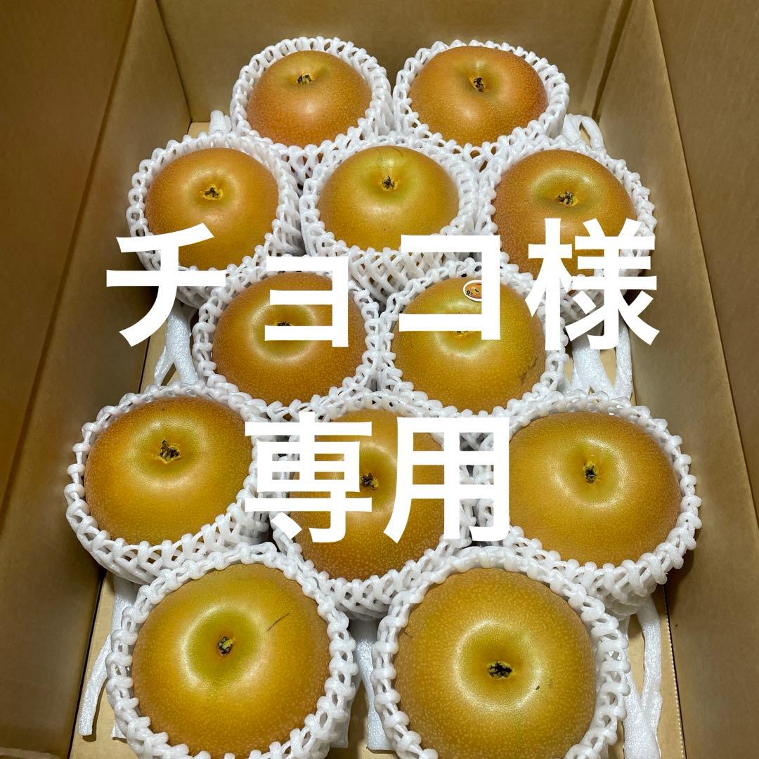 チョコ様豊水あきづき5キロ×2