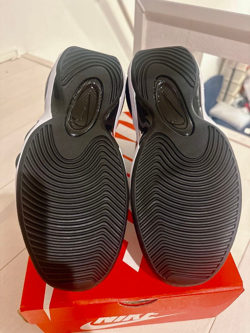 NIKE AIR ZOOM FLIGHT 95 エアズームフライト95 US11