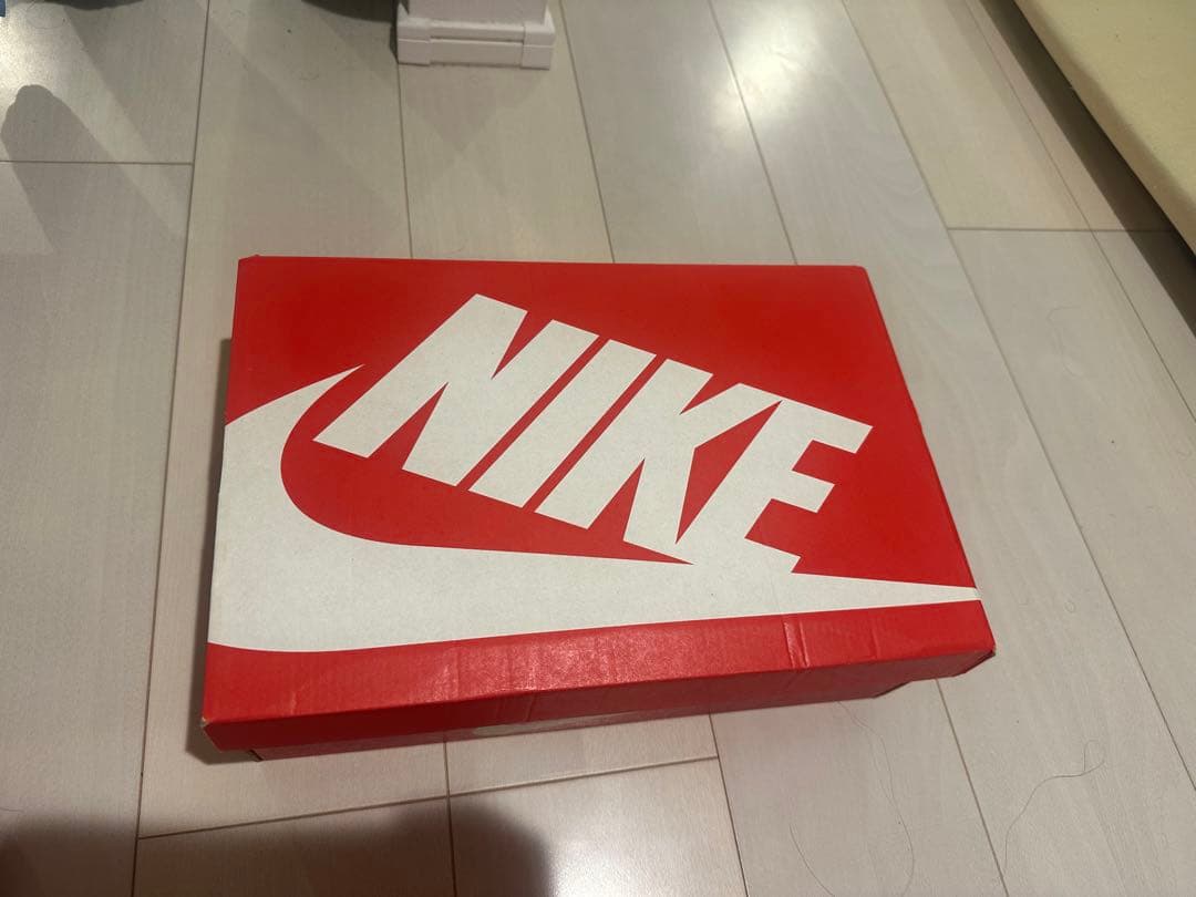 NIKE AIR ZOOM FLIGHT 95 エアズームフライト95 US11