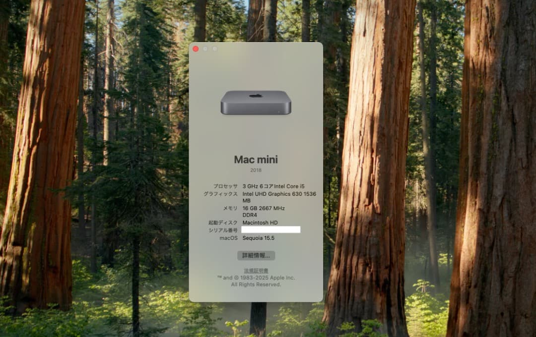 Mac mini 2018 Core i5 メモリ16GB SSD256GB