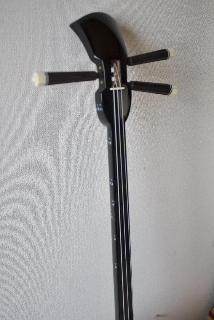 三線 沖縄 初心者セット 人工皮 ケース、爪、教本などset 三味線　送料込