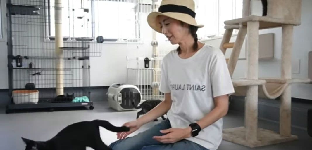 KIJIMA TAKAYUKI キジマタカユキ ペーパーハット 麦わら 帽子