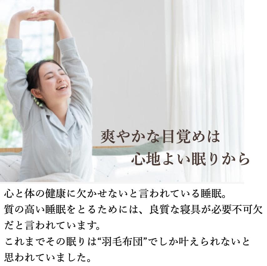 ミクロガード スタンダード 2枚合わせ掛け布団［シングル］ベージュ／テイジン