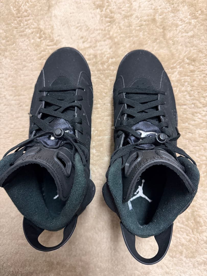 シューズ(男性用) Nike Air Jordan 6 Retro llic Silver