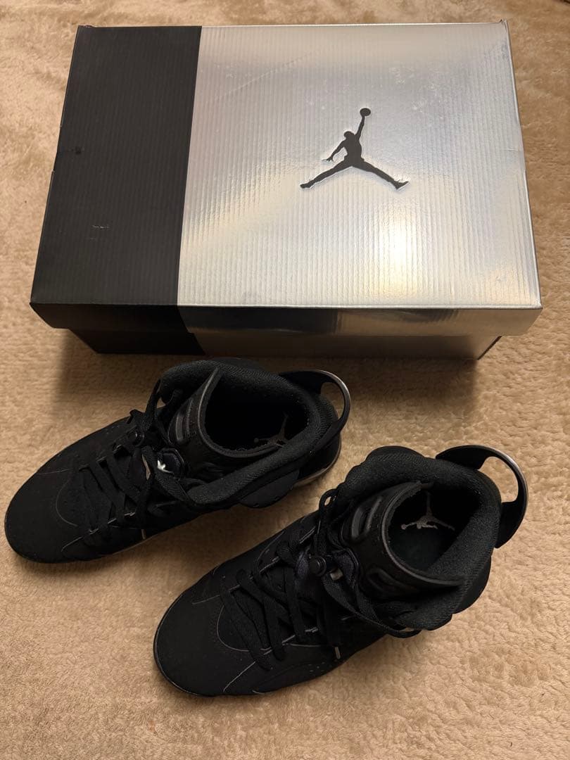 シューズ(男性用) Nike Air Jordan 6 Retro llic Silver