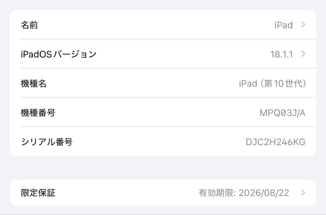 【美品】iPad 第10世代 (Wi-Fi)本体 シルバー