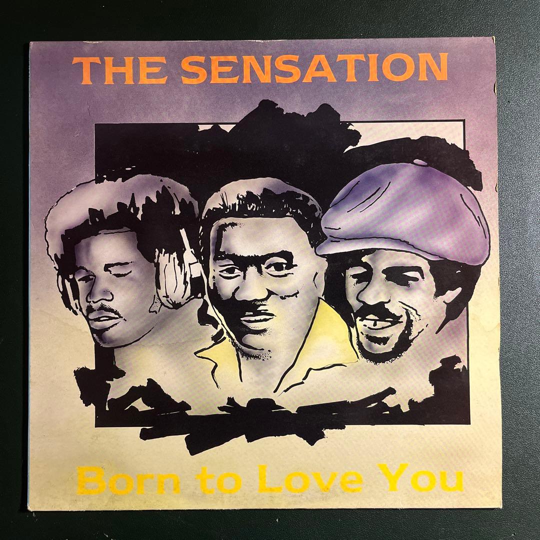 洋楽 THE SENSATION Born to Love You WRLP36