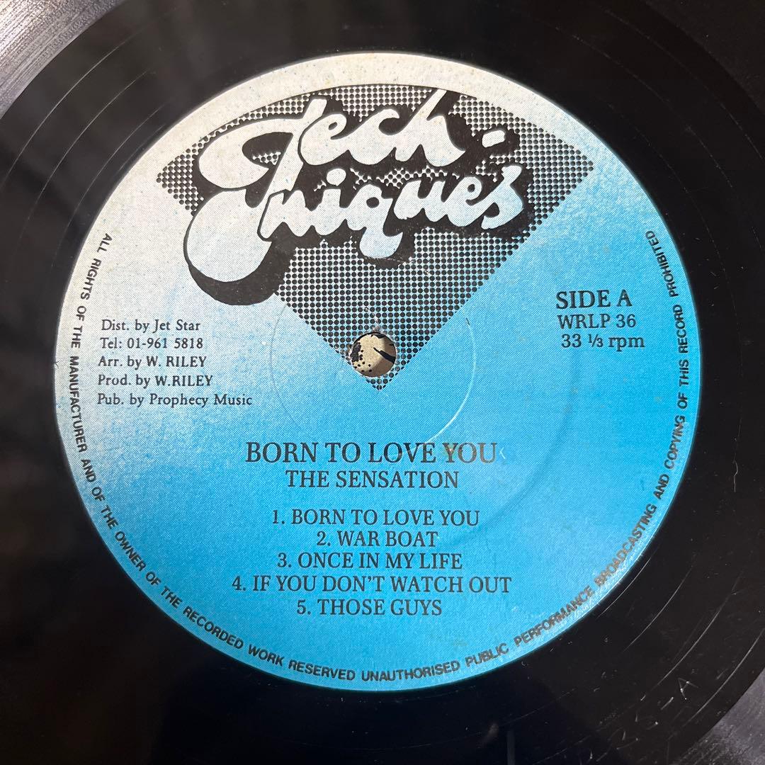 洋楽 THE SENSATION Born to Love You WRLP36