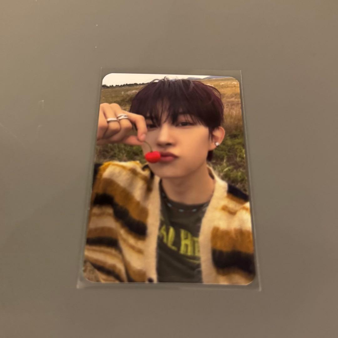 ALD1 サノク トレカ ゴヌ