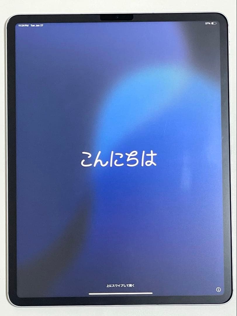 Apple iPad Pro 12.9インチ256GB 第5世代 SIMフリー