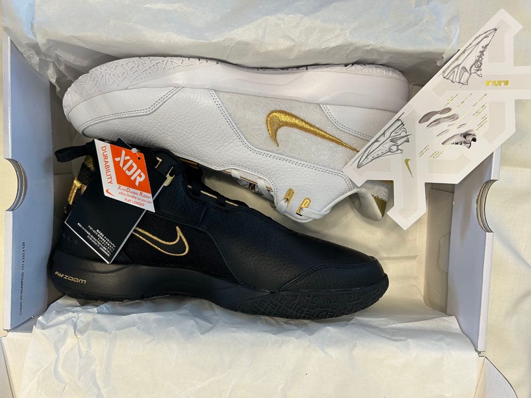 シューズ(男性用) NIKE LEBRON NXXT GEN AMPD EP