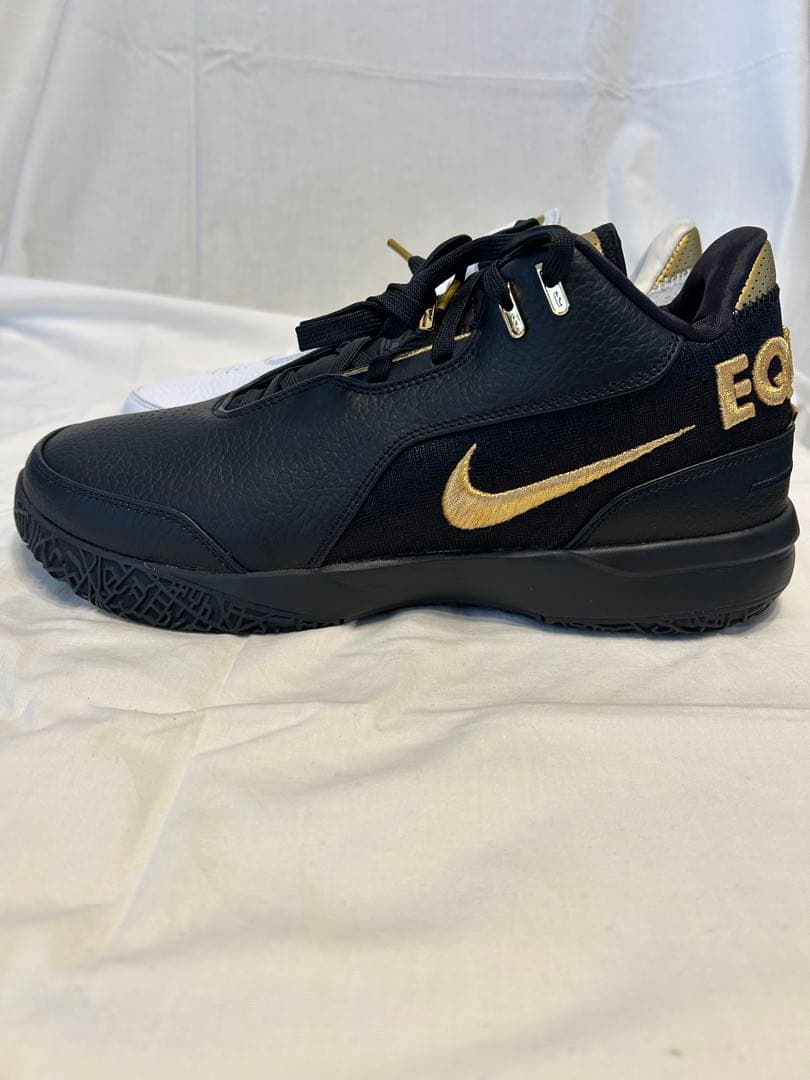 シューズ(男性用) NIKE LEBRON NXXT GEN AMPD EP