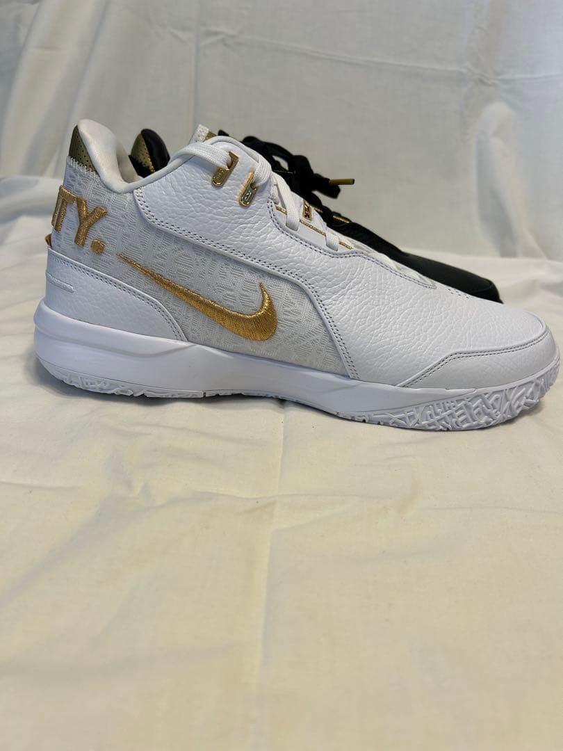 シューズ(男性用) NIKE LEBRON NXXT GEN AMPD EP