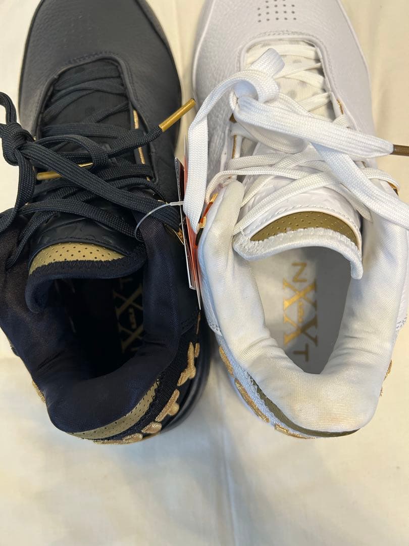 シューズ(男性用) NIKE LEBRON NXXT GEN AMPD EP