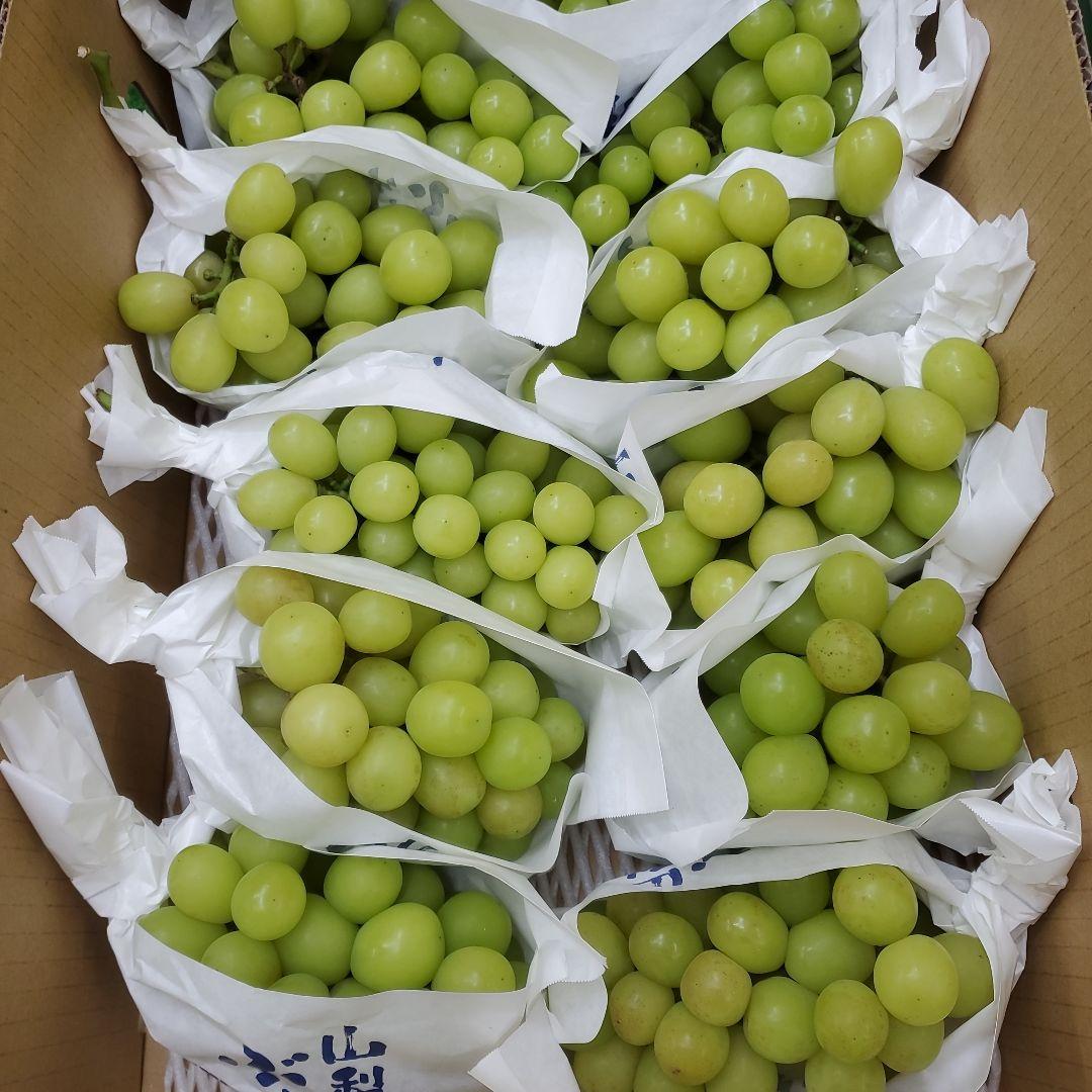 1⃣ 山梨県産 シャインマスカット １1房入り 箱込み5.4キロ