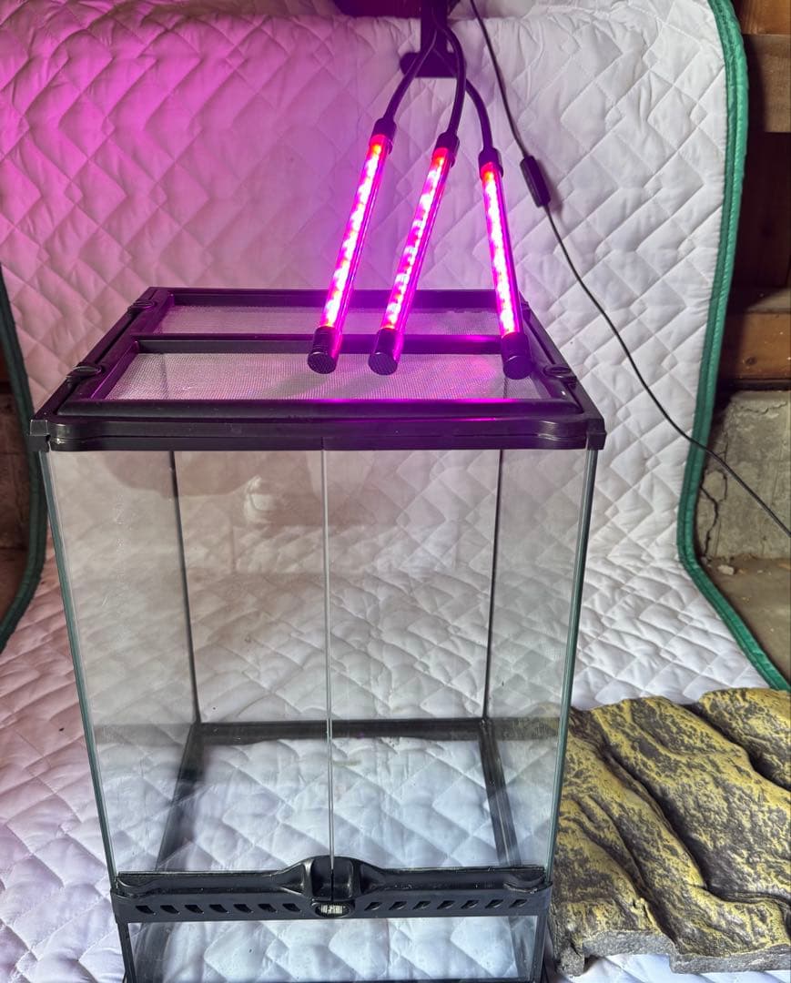 ス*ウ様 LEDライト付き　グラステラリウム3045