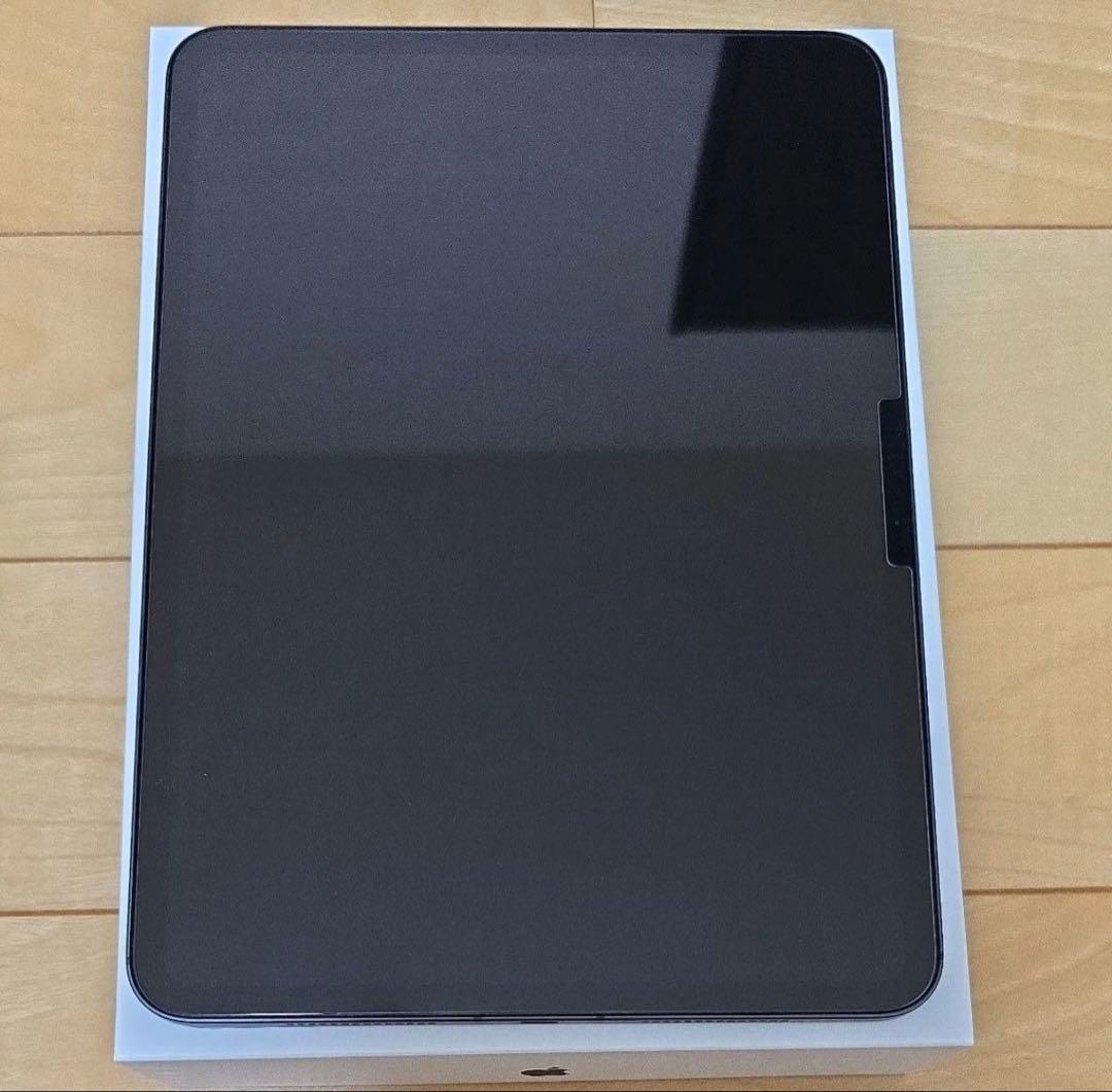 rin　　M4iPadPro 11インチセルラーSIMフリー