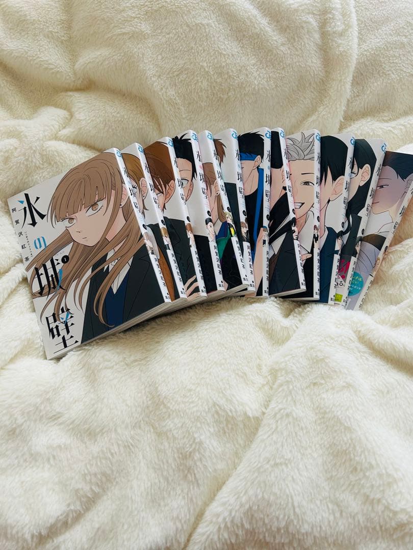 氷の城壁　1〜12巻セット