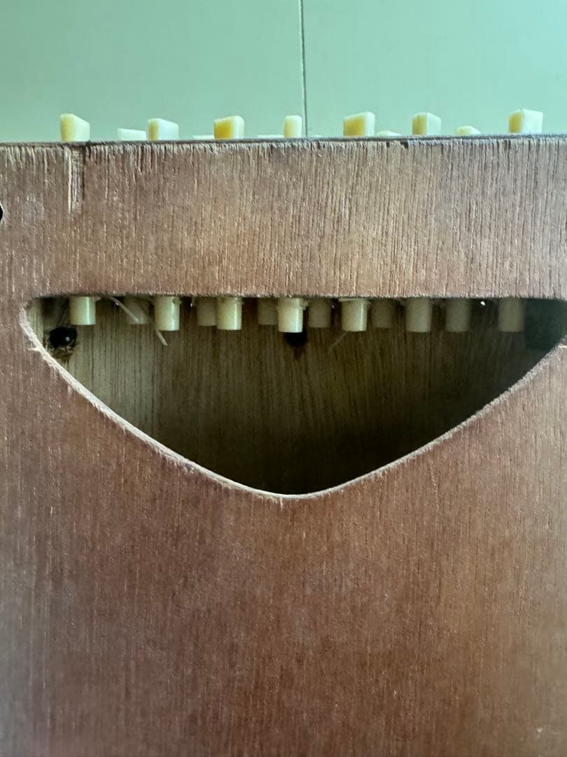 だれでも弾ける 高級三尺琴 弾龍