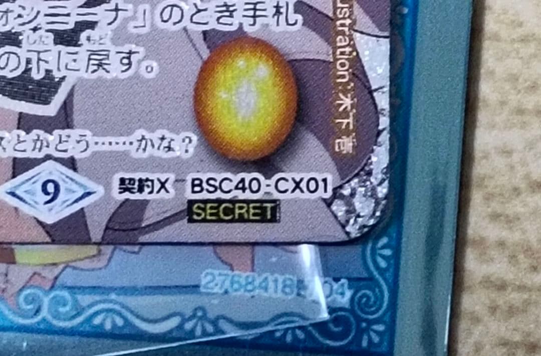 1/31まで値下げ [ずっと一緒に] フォンニーナ シークレット