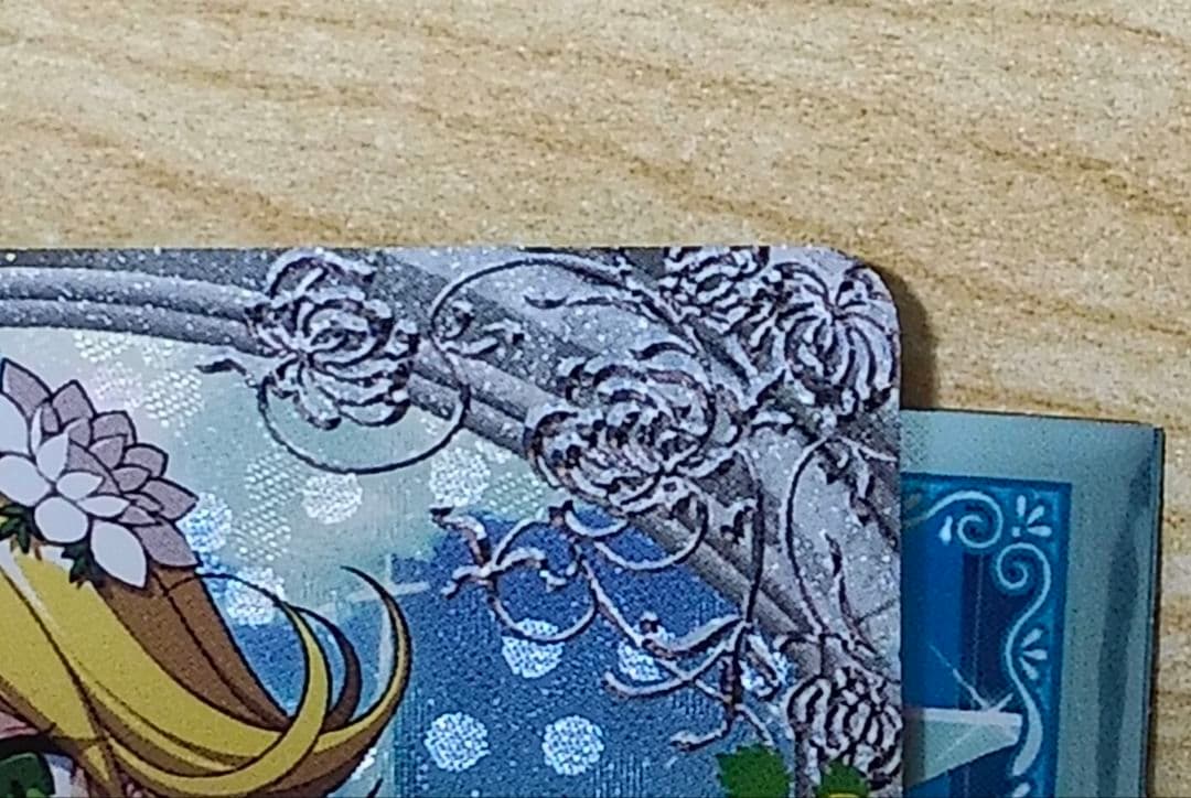 1/31まで値下げ [ずっと一緒に] フォンニーナ シークレット