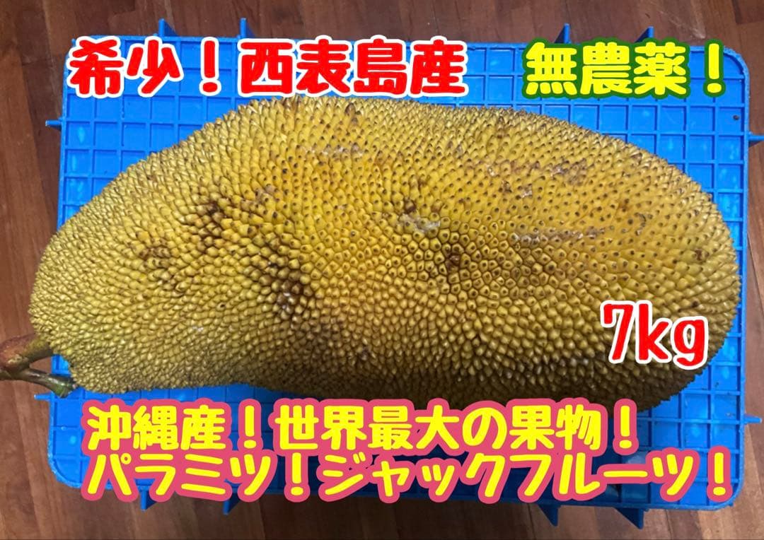 無農薬ジャックフルーツ (波羅蜜) 7kg西表島産