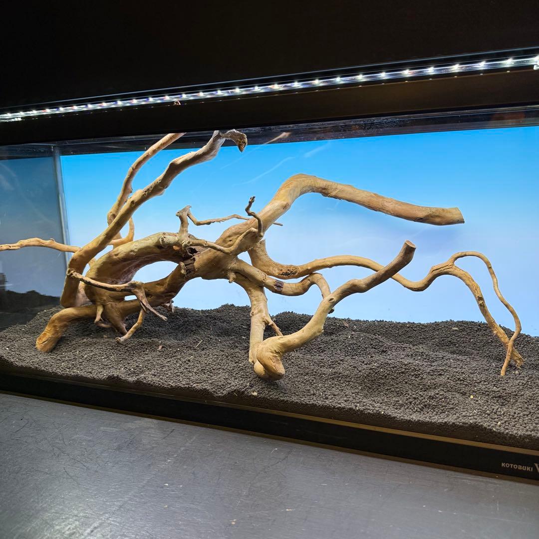MDW-7104 ブランチウッド4本セット　流木セット　枝流木　アクアリウム