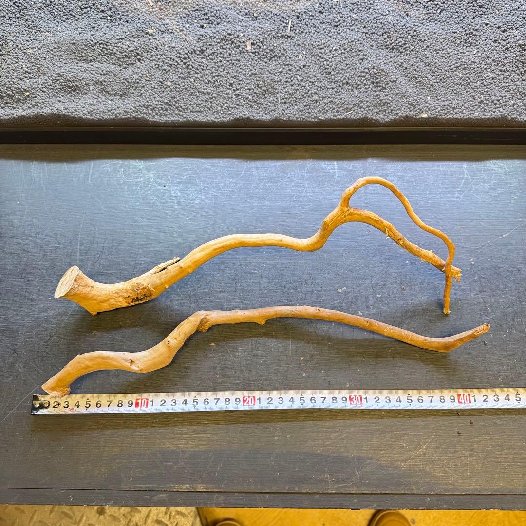 MDW-7104 ブランチウッド4本セット　流木セット　枝流木　アクアリウム