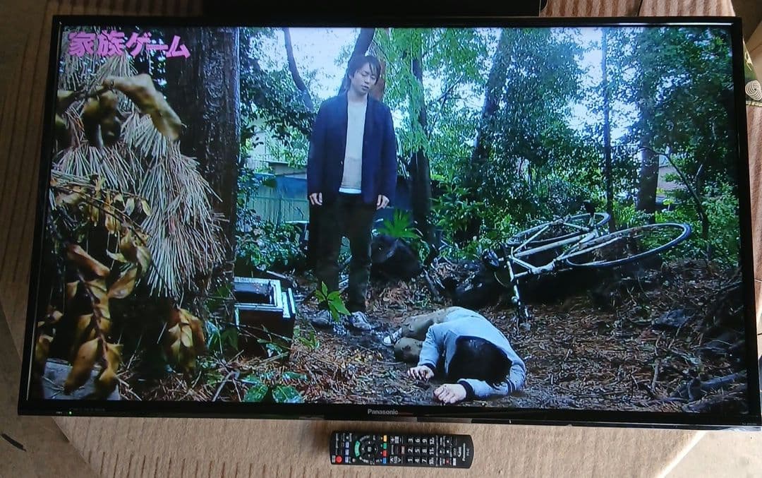 Panasonic VIERA 43型 液晶テレビTH-43D305HT ①