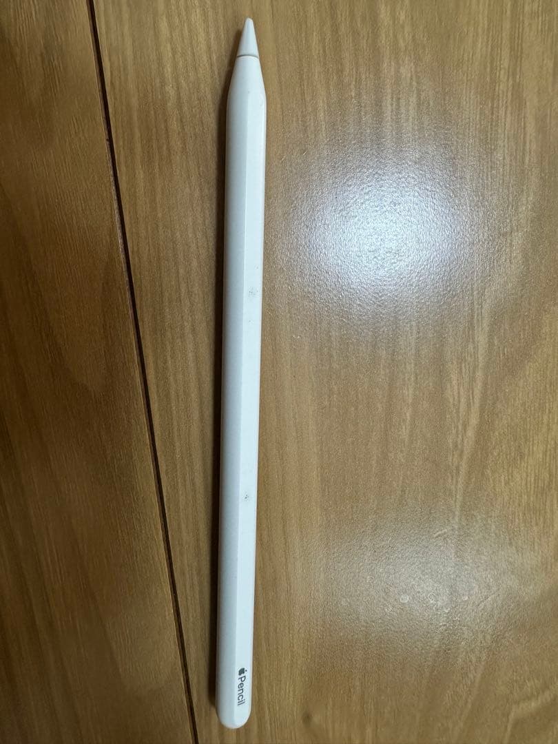 Apple iPad Pro 第1世代 256G スペースグレー 本体