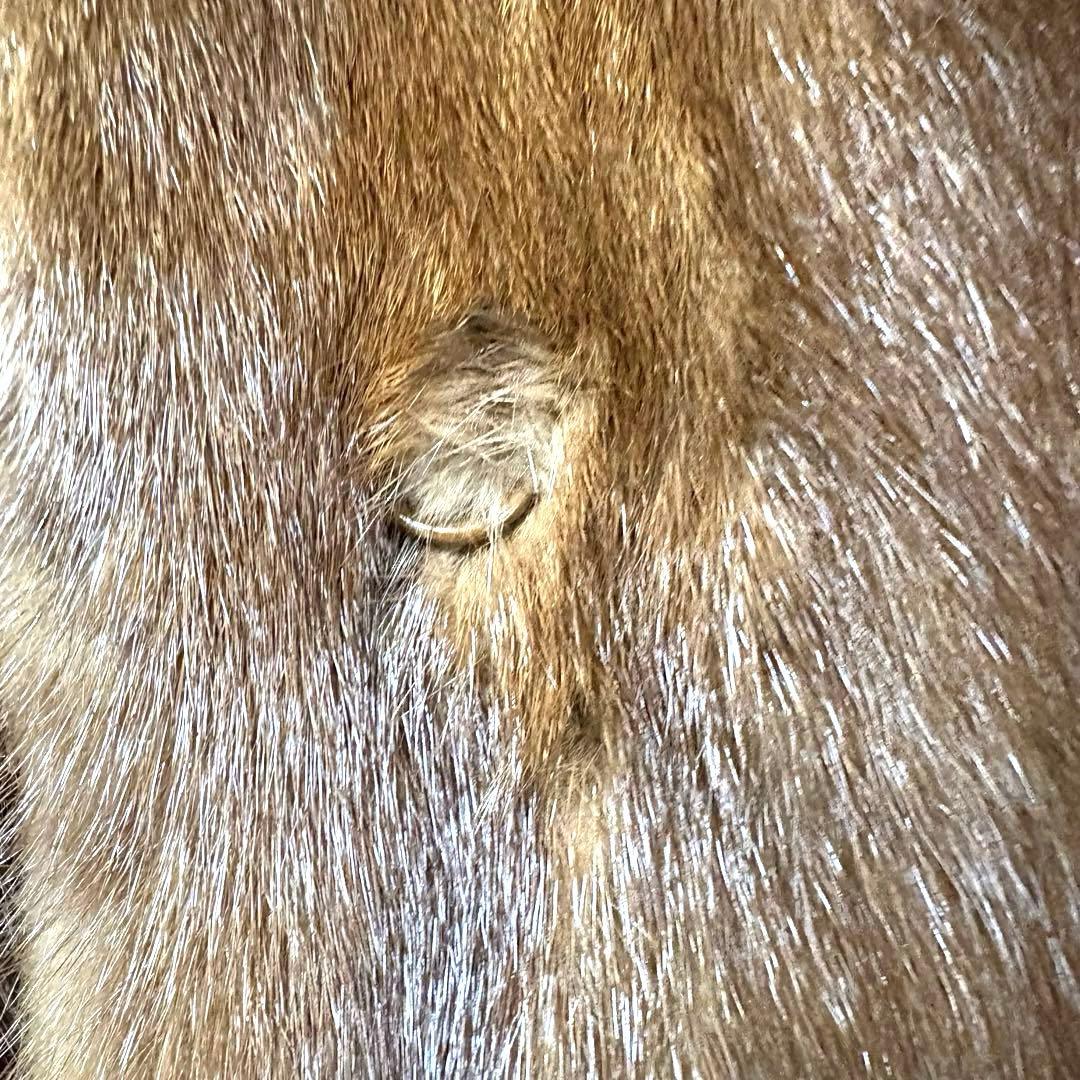 リアルファー 毛皮コート ミンク相当 ブラウン 11号 現状品