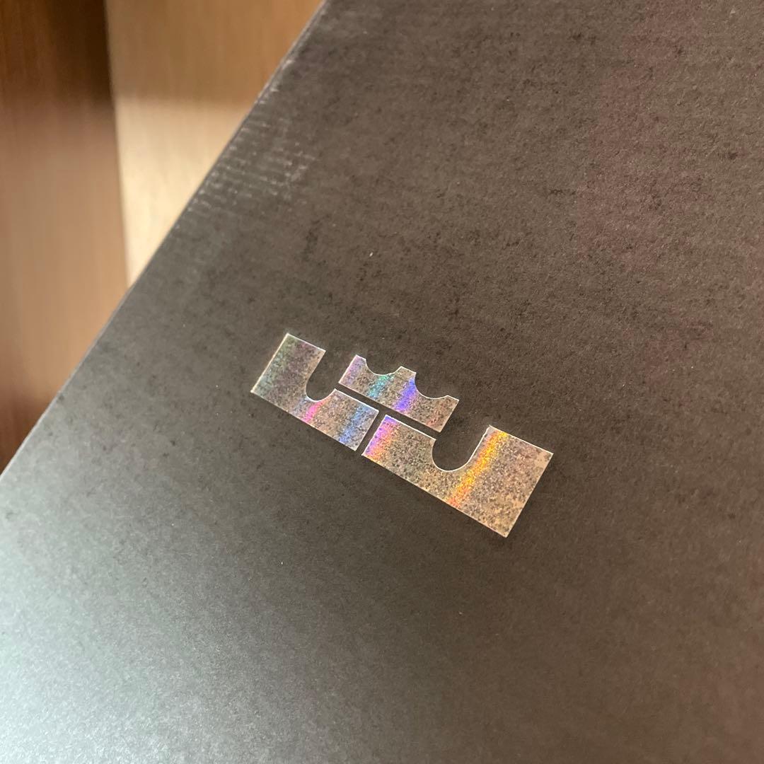 ☆希少カラー☆LEBRON WITNESS V