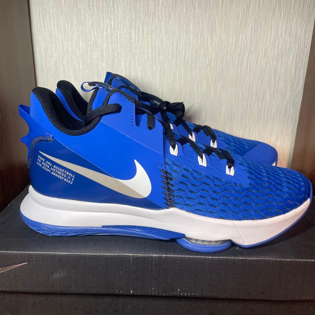 ☆希少カラー☆LEBRON WITNESS V