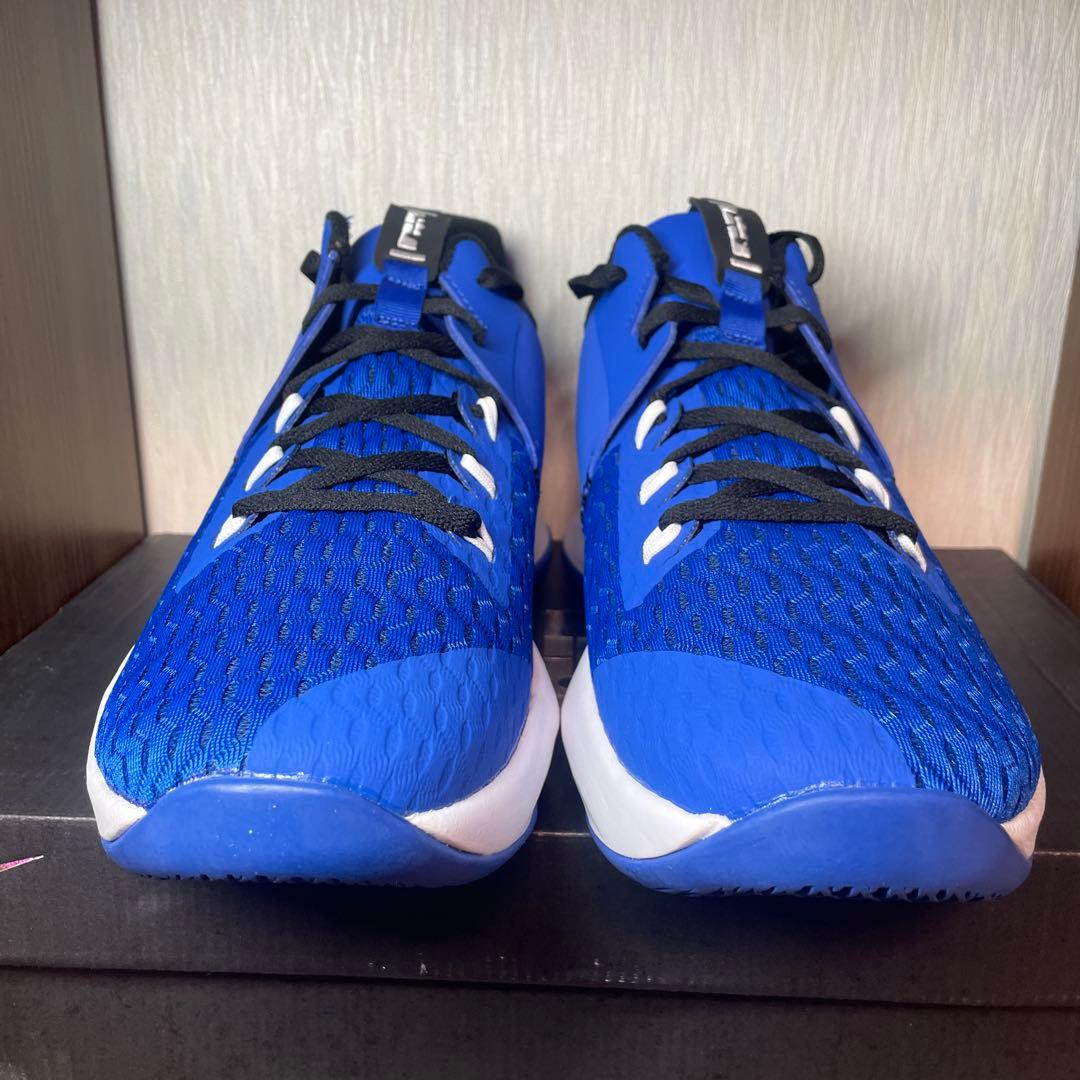 ☆希少カラー☆LEBRON WITNESS V