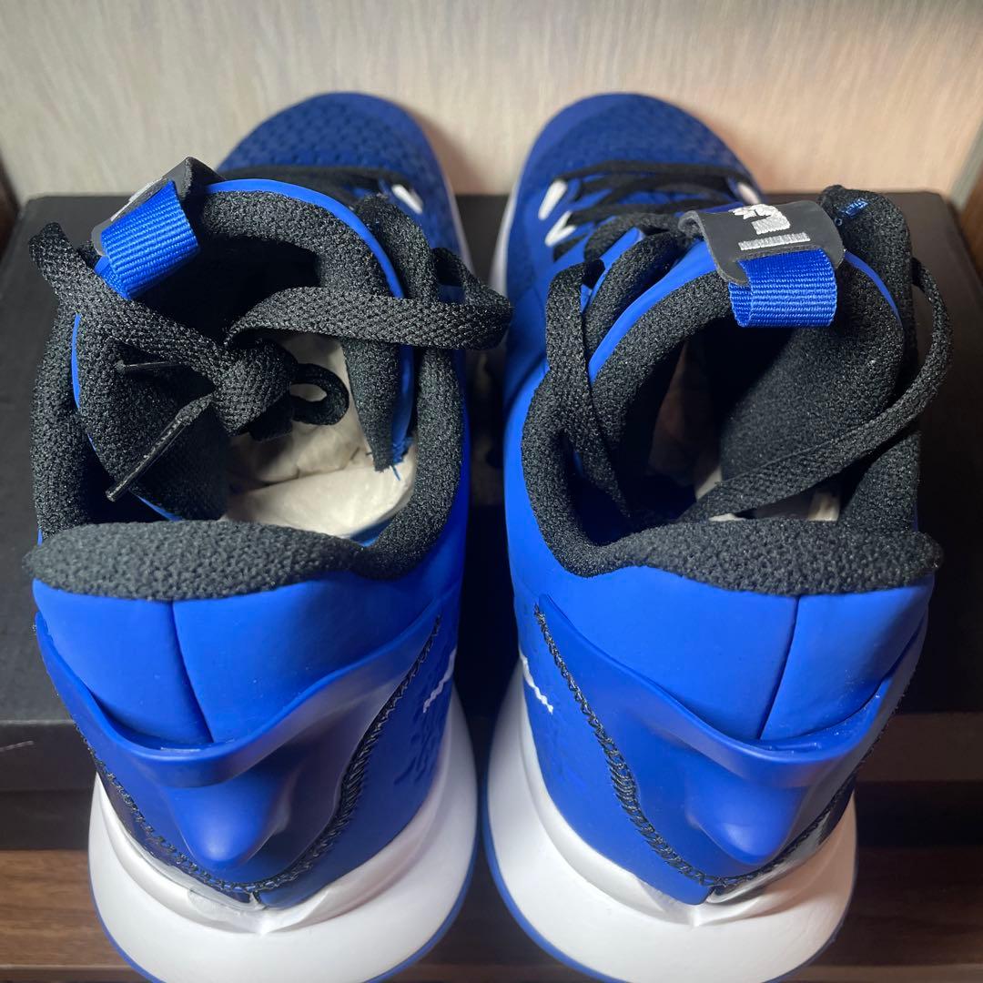 ☆希少カラー☆LEBRON WITNESS V