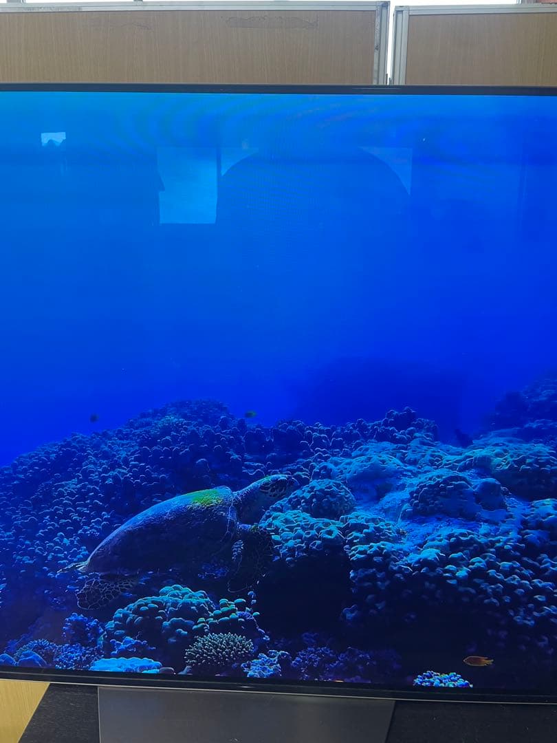 SONY BRAVIA KJ-55A8F 55V型 4K 有機EL TV ソニー