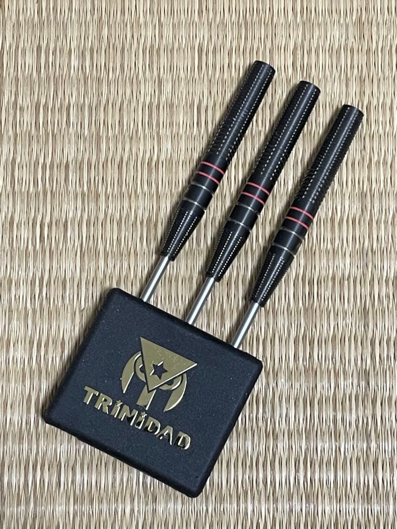 ダーツ TRiNiDAD HUGO Hugo Leung Model