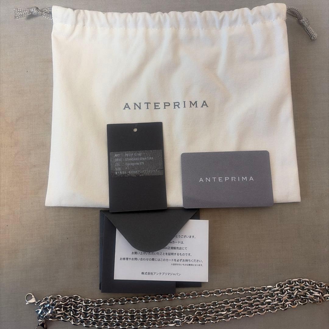 ANTEPRIMA ビーズ バッグ 【保証書付き】