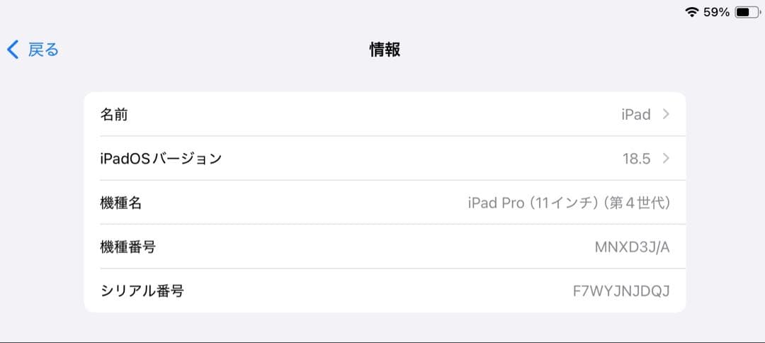 iPad Pro 11インチ 第4世代 & Apple Pencil第2世代