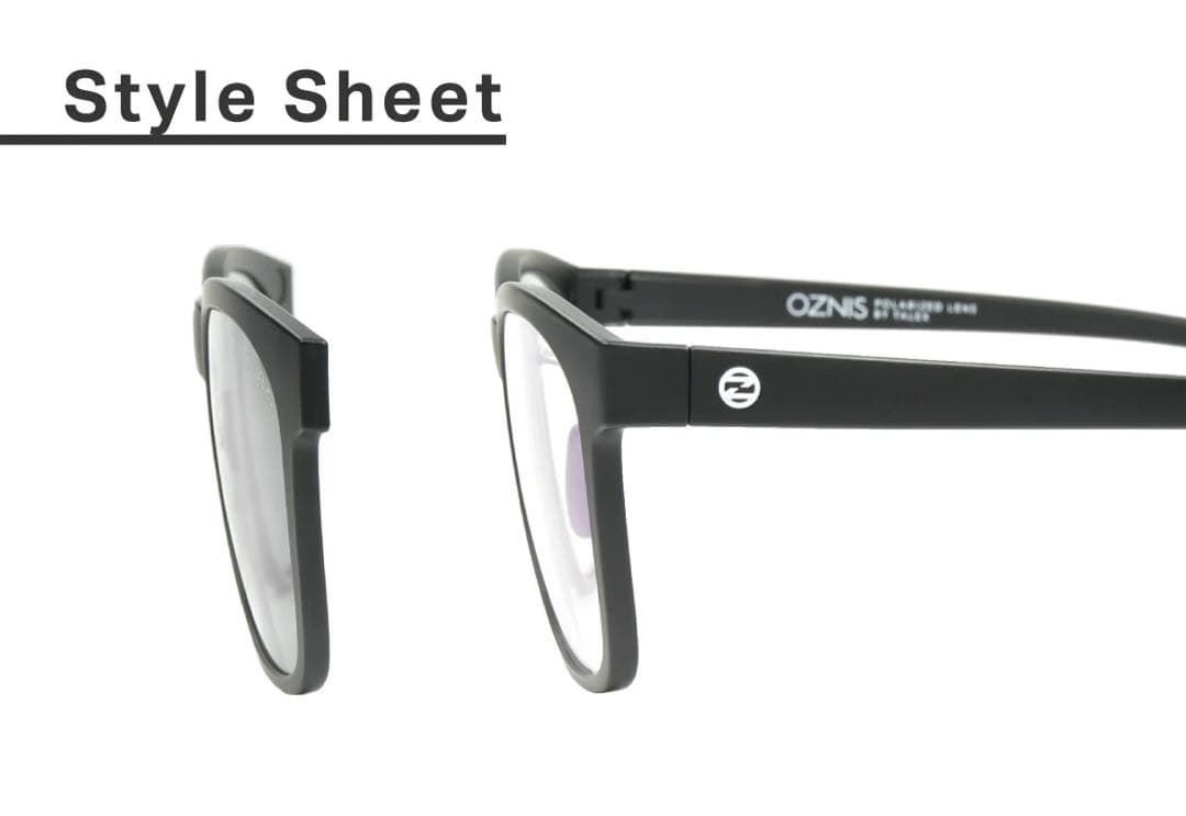 【1年保証付き】 TALEX サングラス OZNIS MAG01