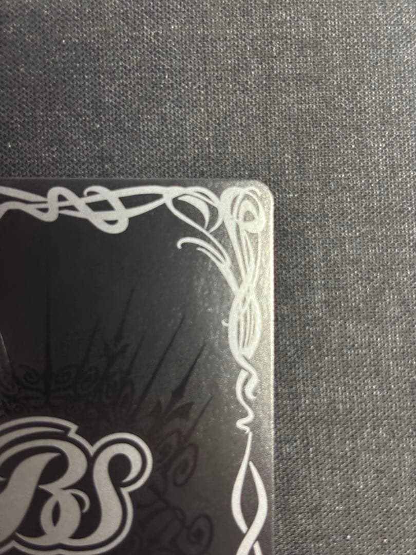 ［ずっと一緒に］レイオーバ　シークレット　10th secret