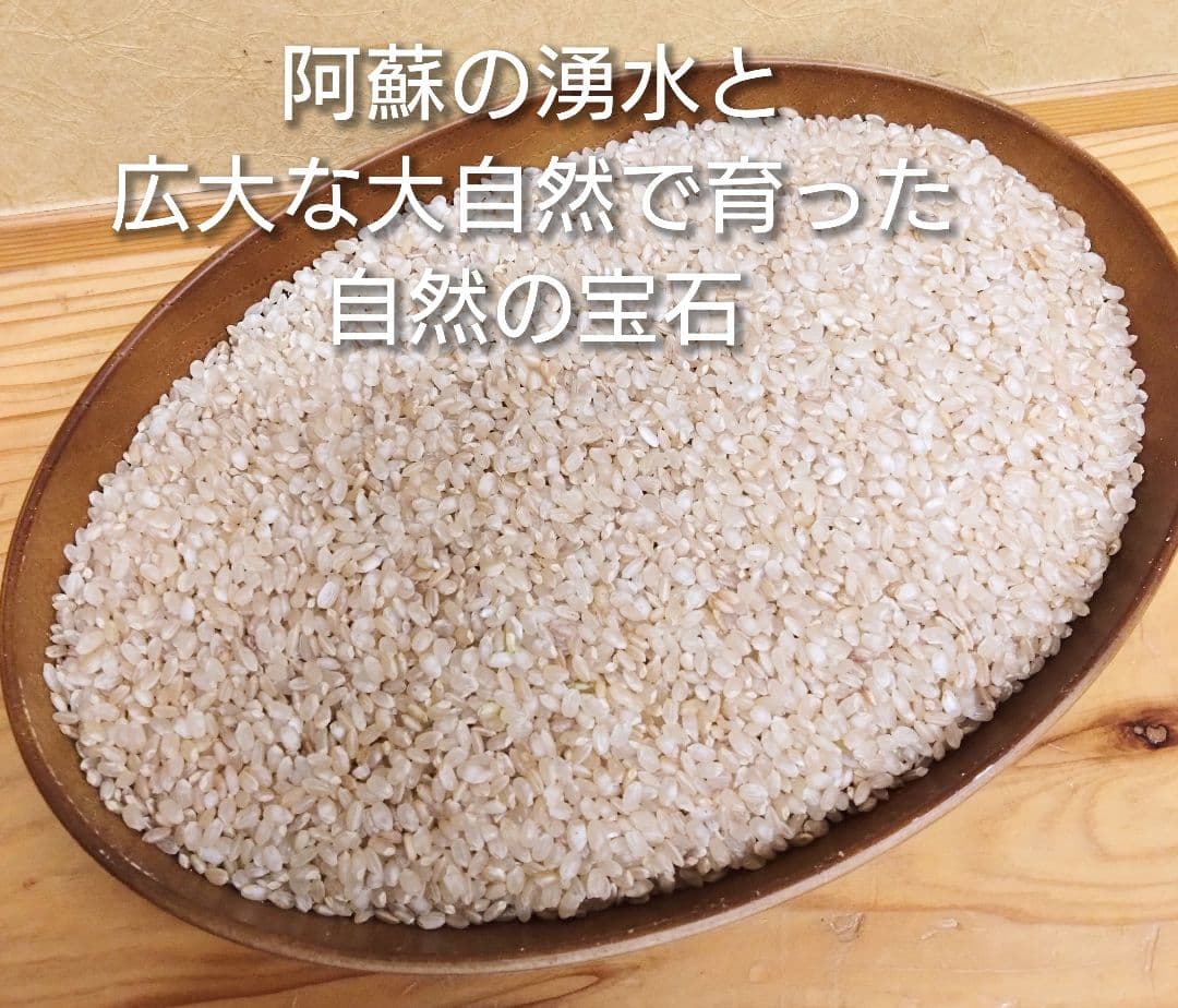 2 R7年 自然栽培米 2品種食べ比べセット10kg（5kg×2）玄米 セット
