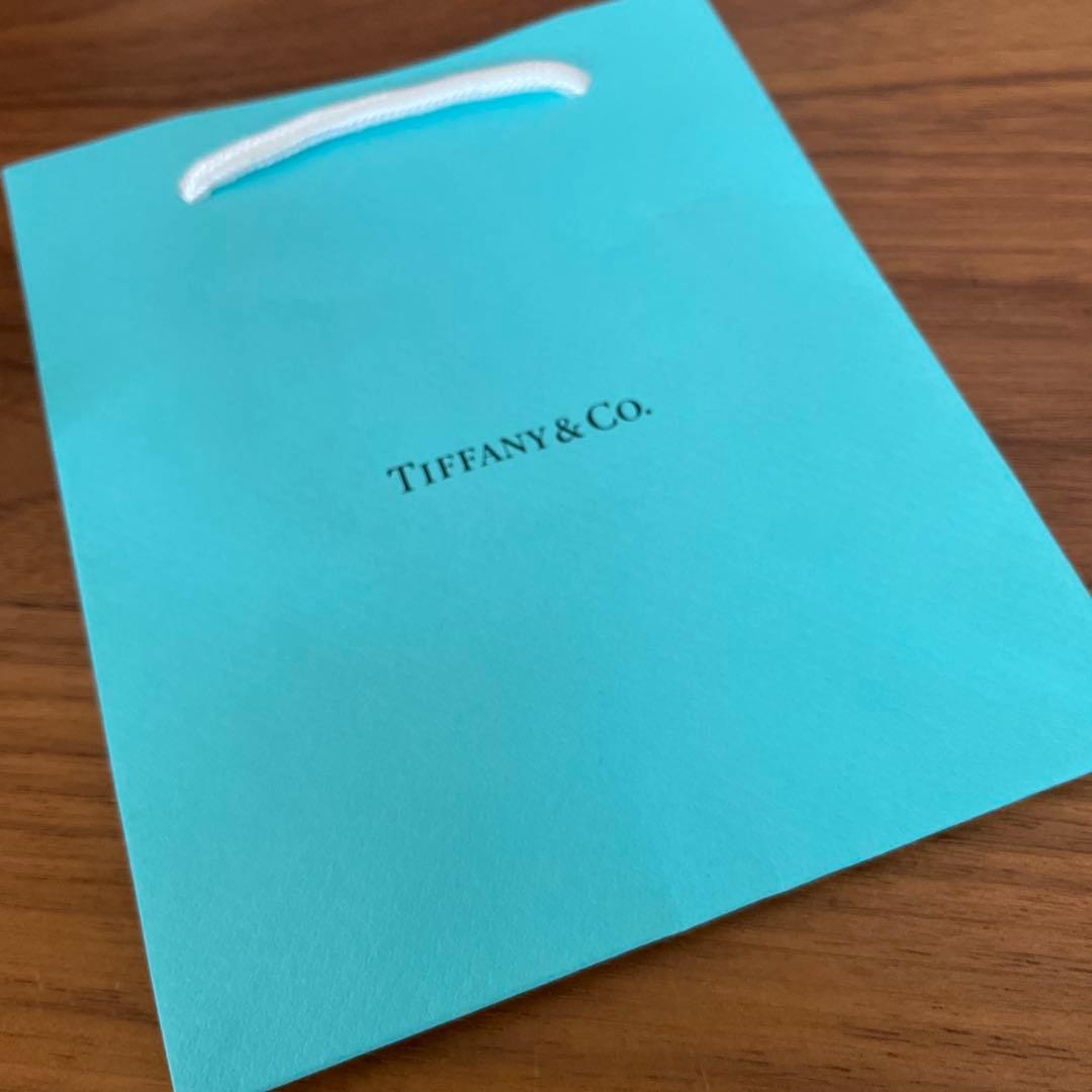 TIFFANY & Co. シャツ用 カラースティ