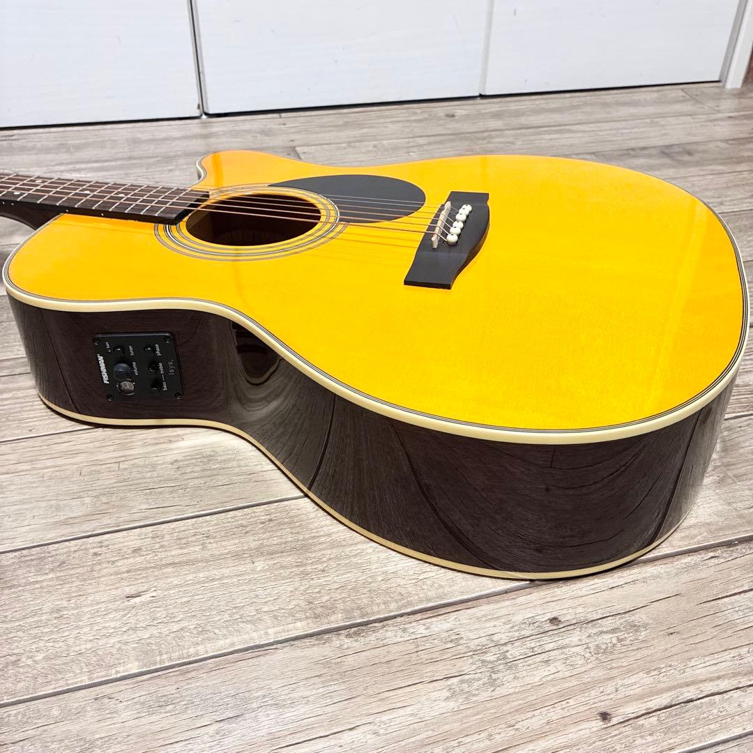 【良品】HEADWAY HEC-48 SB エレアコ セミハードケース付