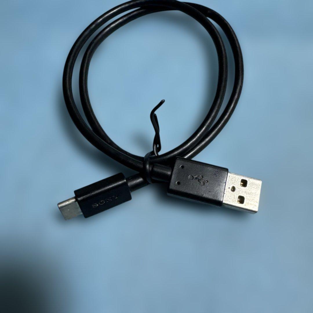 【動作確認】SONY WALKMAN NW-A105（R）レッド 16GB