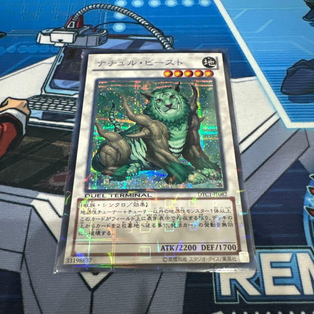 ナチュル・ビースト dtc シークレット シク クロニクル ターミナル