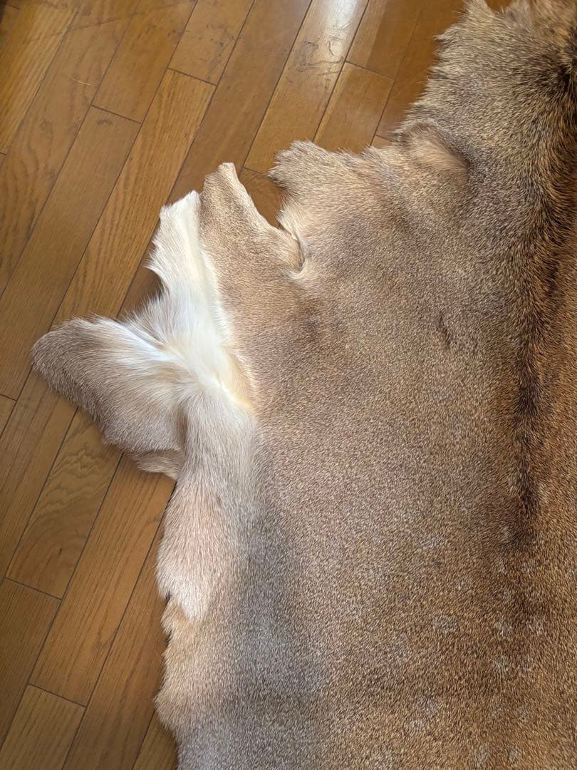 だ*ぶ様 蝦夷鹿毛皮ラグ　天然　バンビ