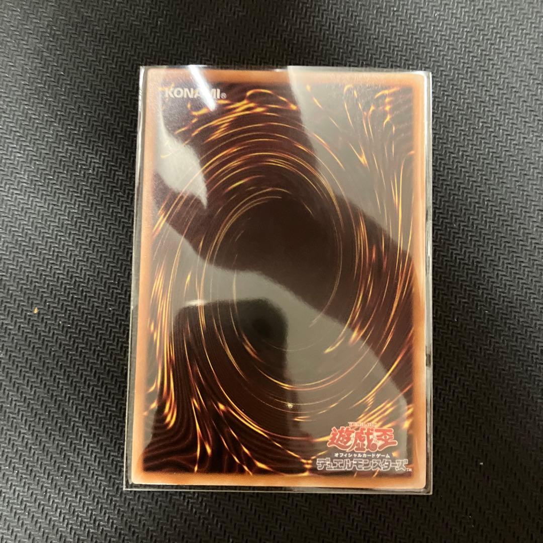 ドラゴンテイルプリクル